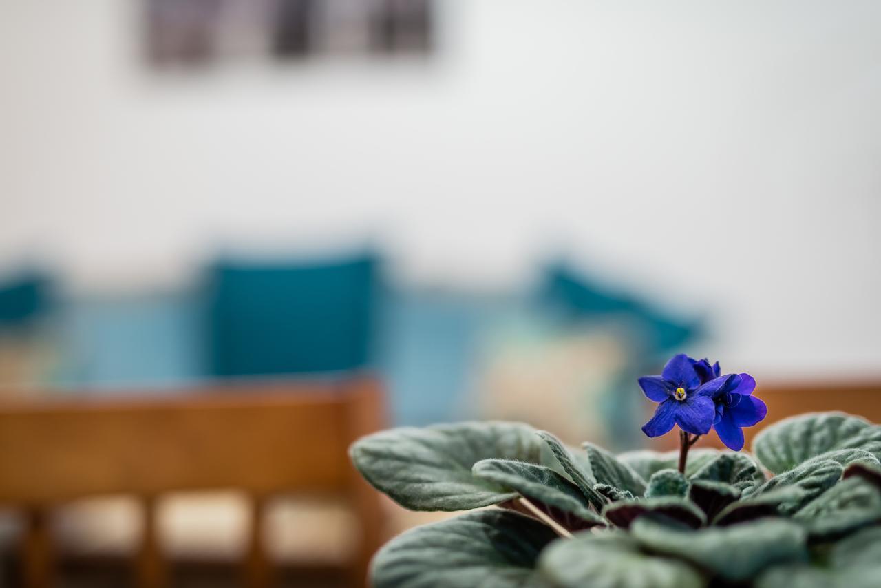 Apartamenty Bosacka Wawelofts Krakov Exteriér fotografie